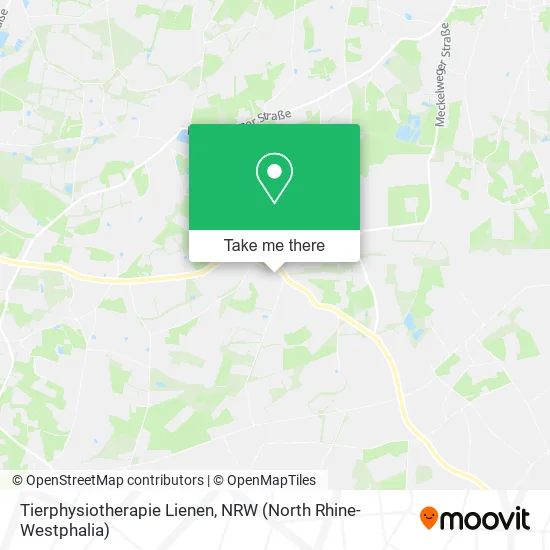 Tierphysiotherapie Lienen map