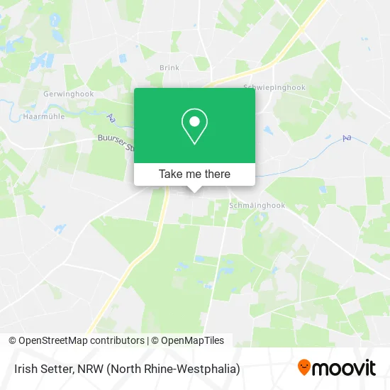 Карта Irish Setter