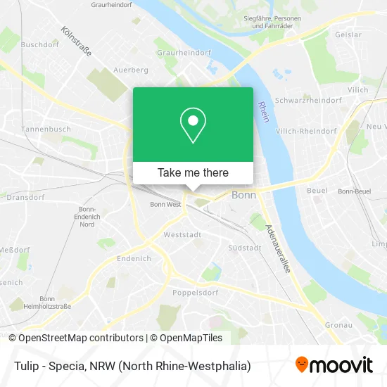 Карта Tulip - Specia