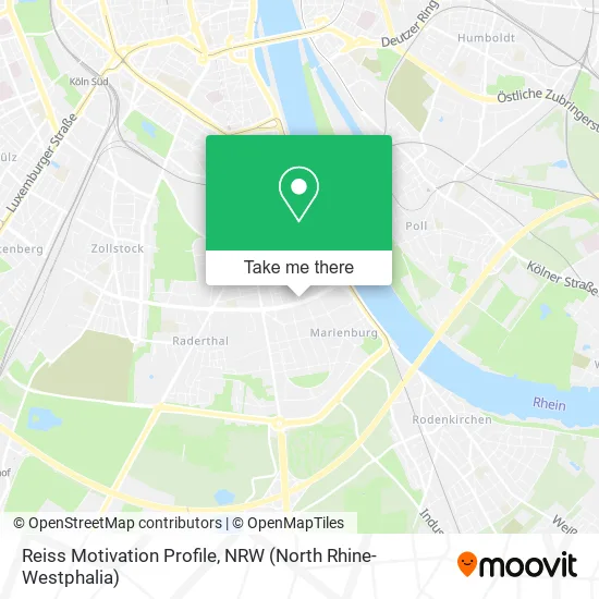 Карта Reiss Motivation Profile