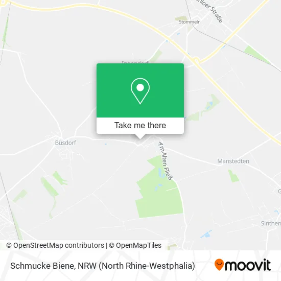 Карта Schmucke Biene