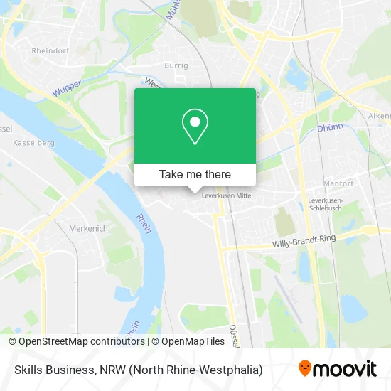 Skills Business map