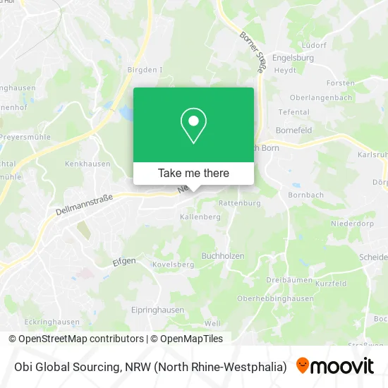 Карта Obi Global Sourcing