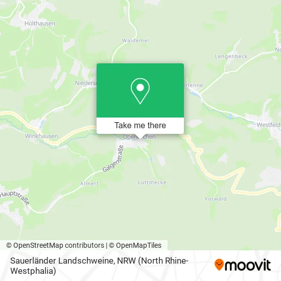 Карта Sauerländer Landschweine
