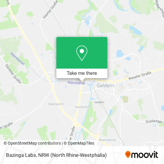 Карта Bazinga Labs