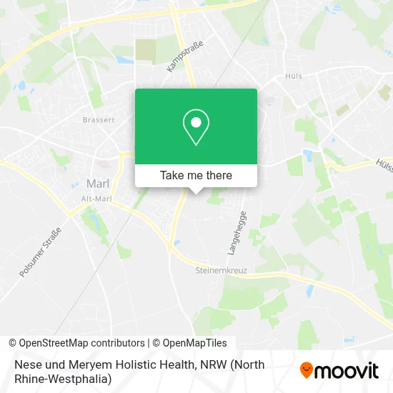 Nese und Meryem Holistic Health map