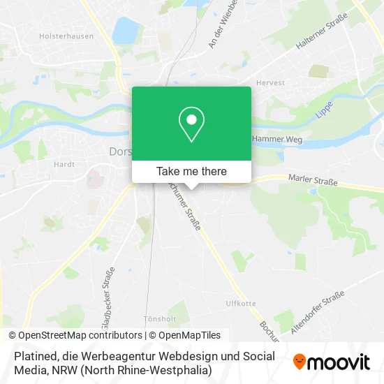 Platined, die Werbeagentur Webdesign und Social Media map
