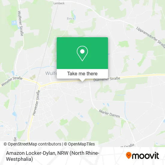 Карта Amazon Locker-Dylan