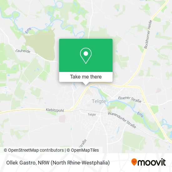 Карта Ollek Gastro