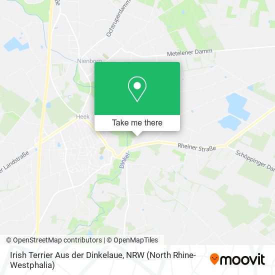 Irish Terrier Aus der Dinkelaue map