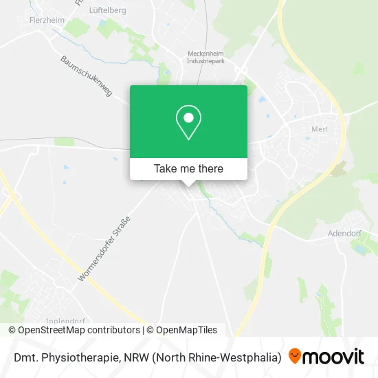 Карта Dmt. Physiotherapie