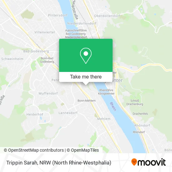 Карта Trippin Sarah