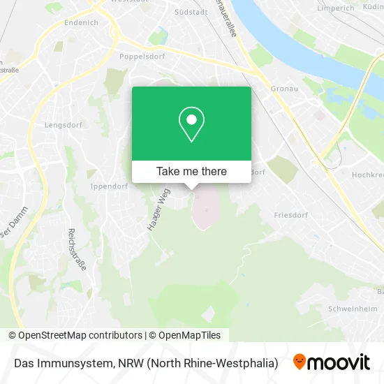 Карта Das Immunsystem