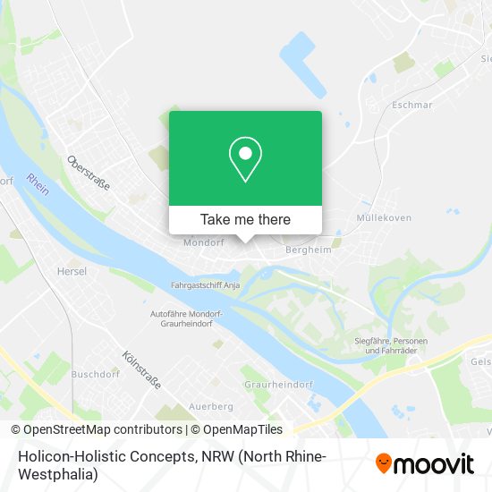 Holicon-Holistic Concepts map