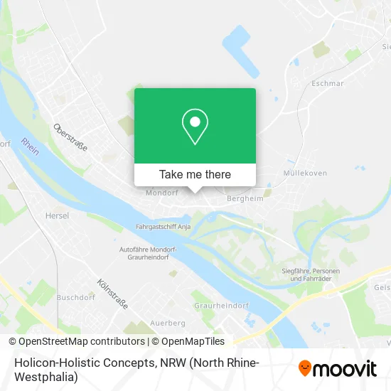 Карта Holicon-Holistic Concepts