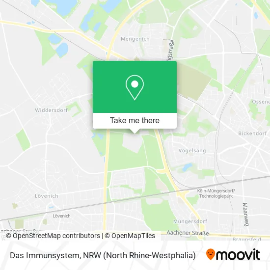 Карта Das Immunsystem