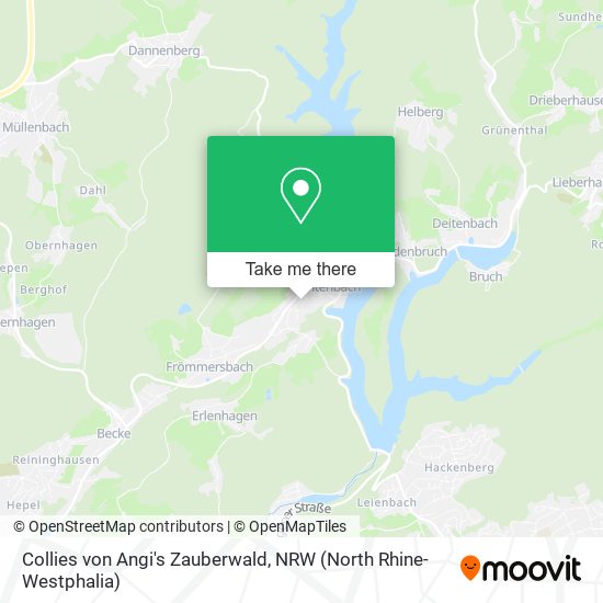 Collies von Angi's Zauberwald map