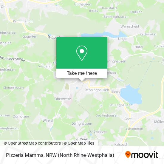 Карта Pizzeria Mamma