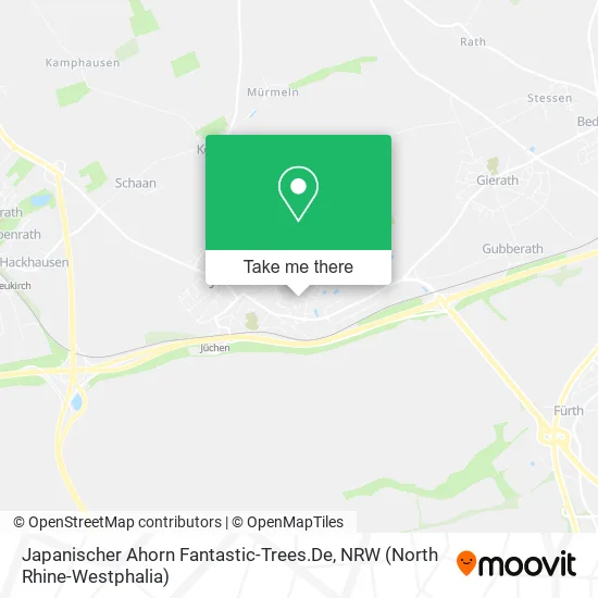 Карта Japanischer Ahorn Fantastic-Trees.De