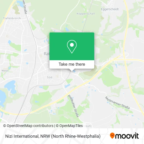 Карта Nizi International