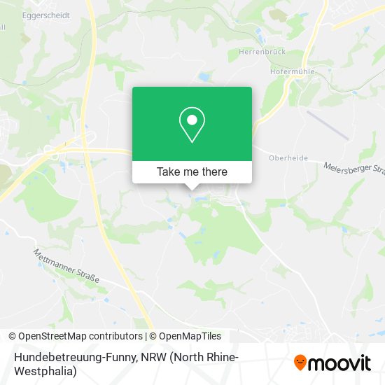 Hundebetreuung-Funny map