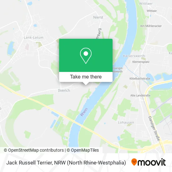 Карта Jack Russell Terrier