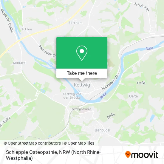 Карта Schlepple Osteopathie