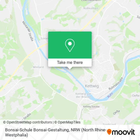 Карта Bonsai-Schule Bonsai-Gestaltung