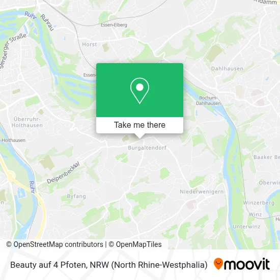 Beauty auf 4 Pfoten map