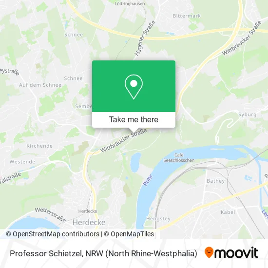 Карта Professor Schietzel