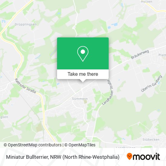 Miniatur Bullterrier map