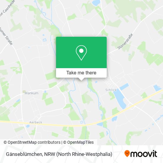 Gänseblümchen map