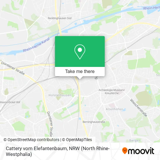 Cattery vom Elefantenbaum map