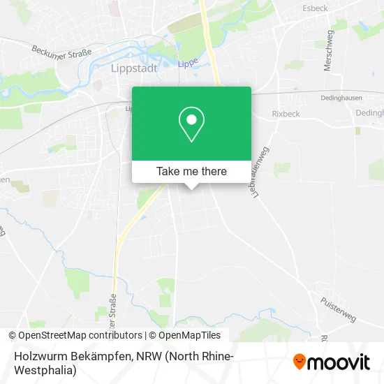 Карта Holzwurm Bekämpfen