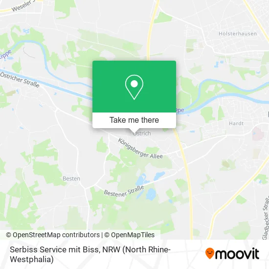 Карта Serbiss Service mit Biss