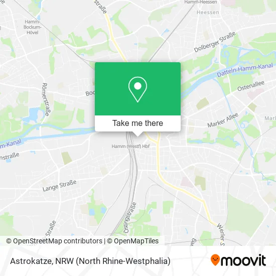 Карта Astrokatze