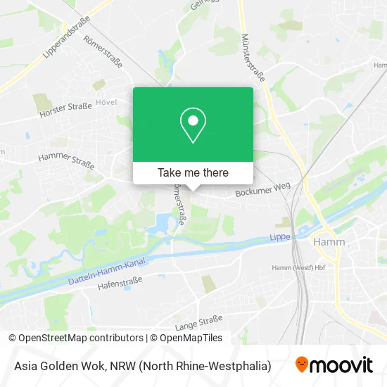 Карта Asia Golden Wok