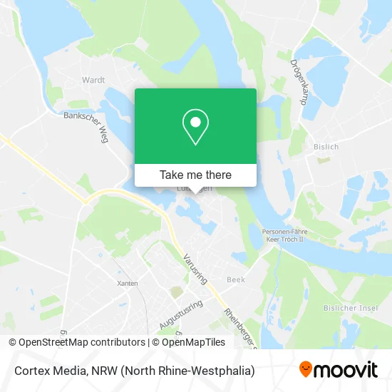 Карта Cortex Media