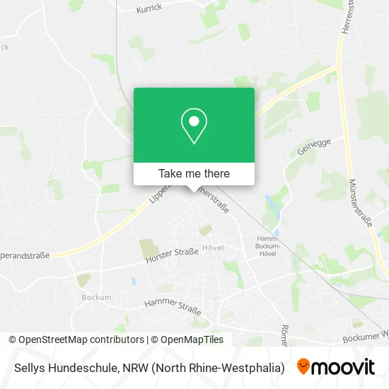 Sellys Hundeschule map