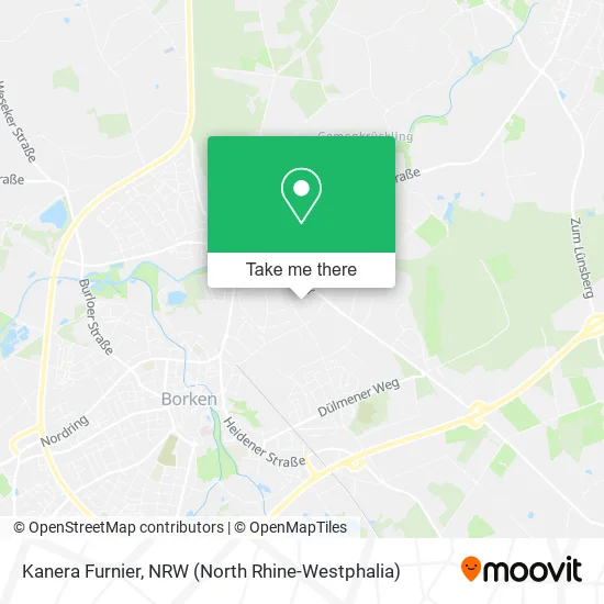 Карта Kanera Furnier