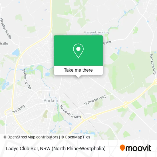 Карта Ladys Club Bor