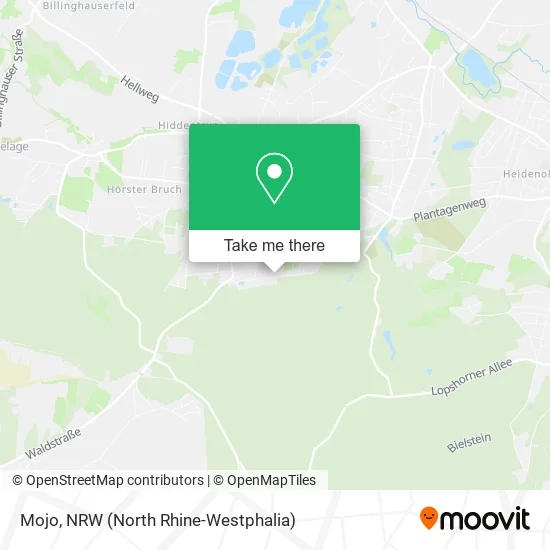 Карта Mojo