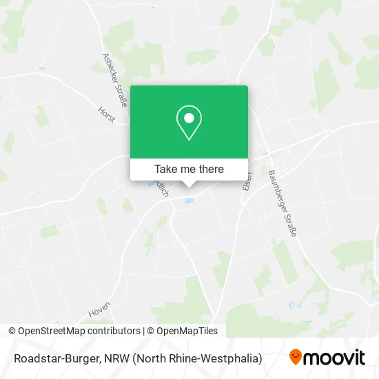 Карта Roadstar-Burger