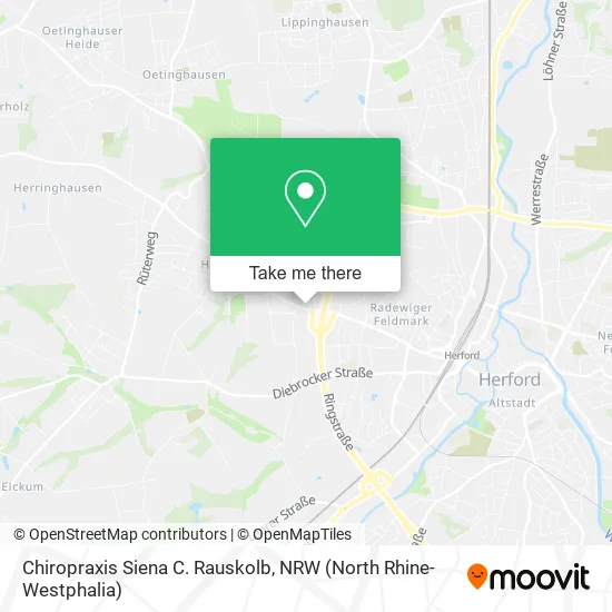 Карта Chiropraxis Siena C. Rauskolb