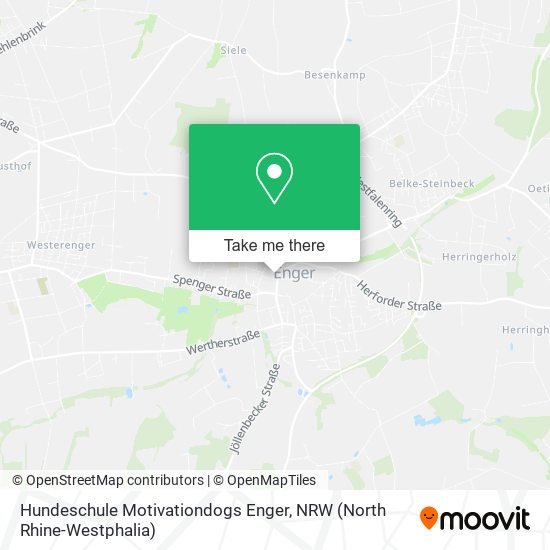 Hundeschule Motivationdogs Enger map