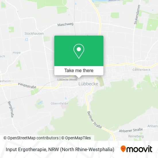 Карта Input Ergotherapie