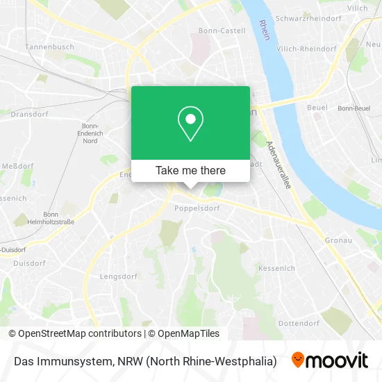 Карта Das Immunsystem