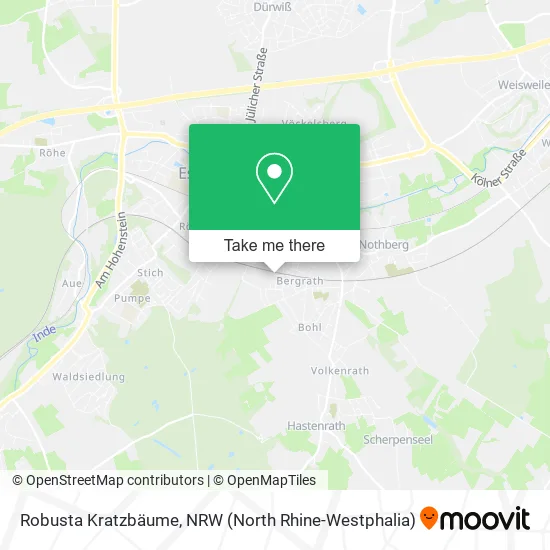 Robusta Kratzbäume map