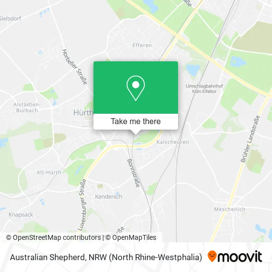 Карта Australian Shepherd