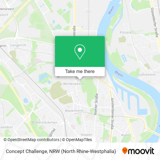 Карта Concept Challenge